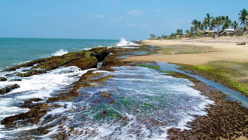 Day 7 - Nuwara Eliya | Negombo