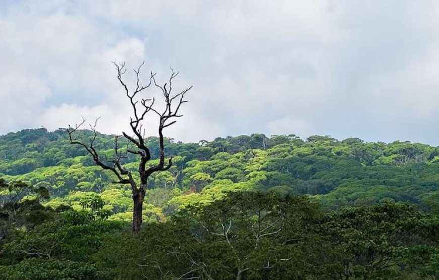 Sri Lanka UNESCO Highlights Tour